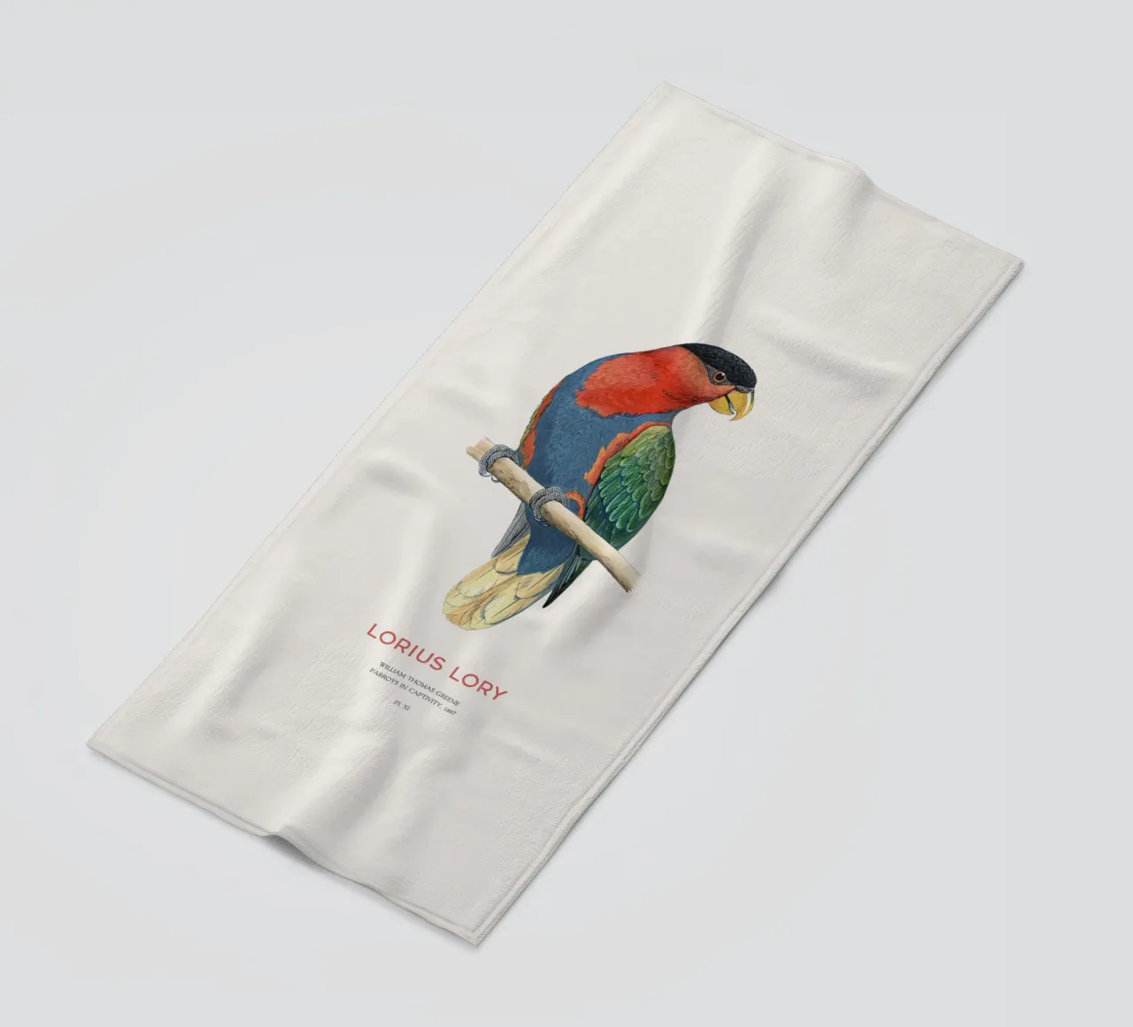 Loria dal ciuffo nero o Lorius lory telo mare da Vintagrafica