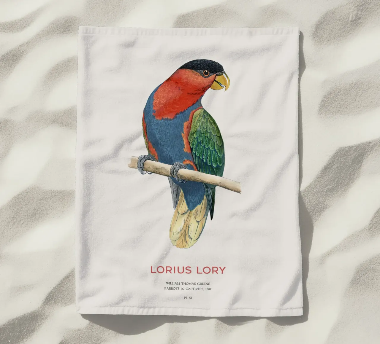 Loria dal ciuffo nero o Lorius lory telo mare da Vintagrafica