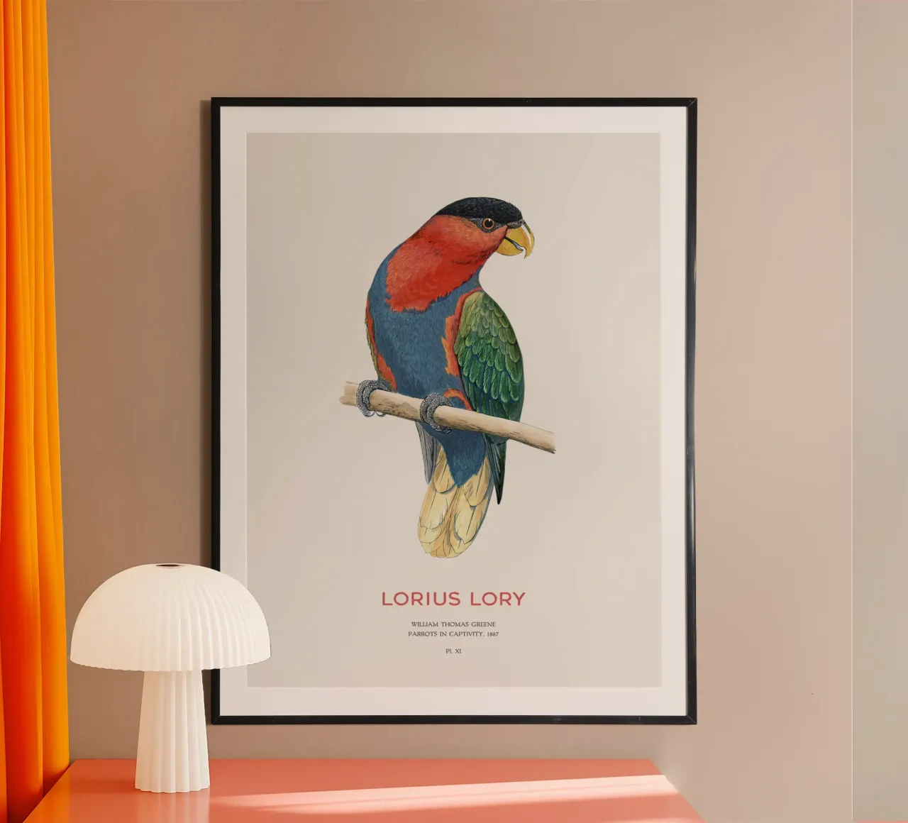 Schwarzkappenlori oder Loriuslori Hahnemühle von Vintagrafica