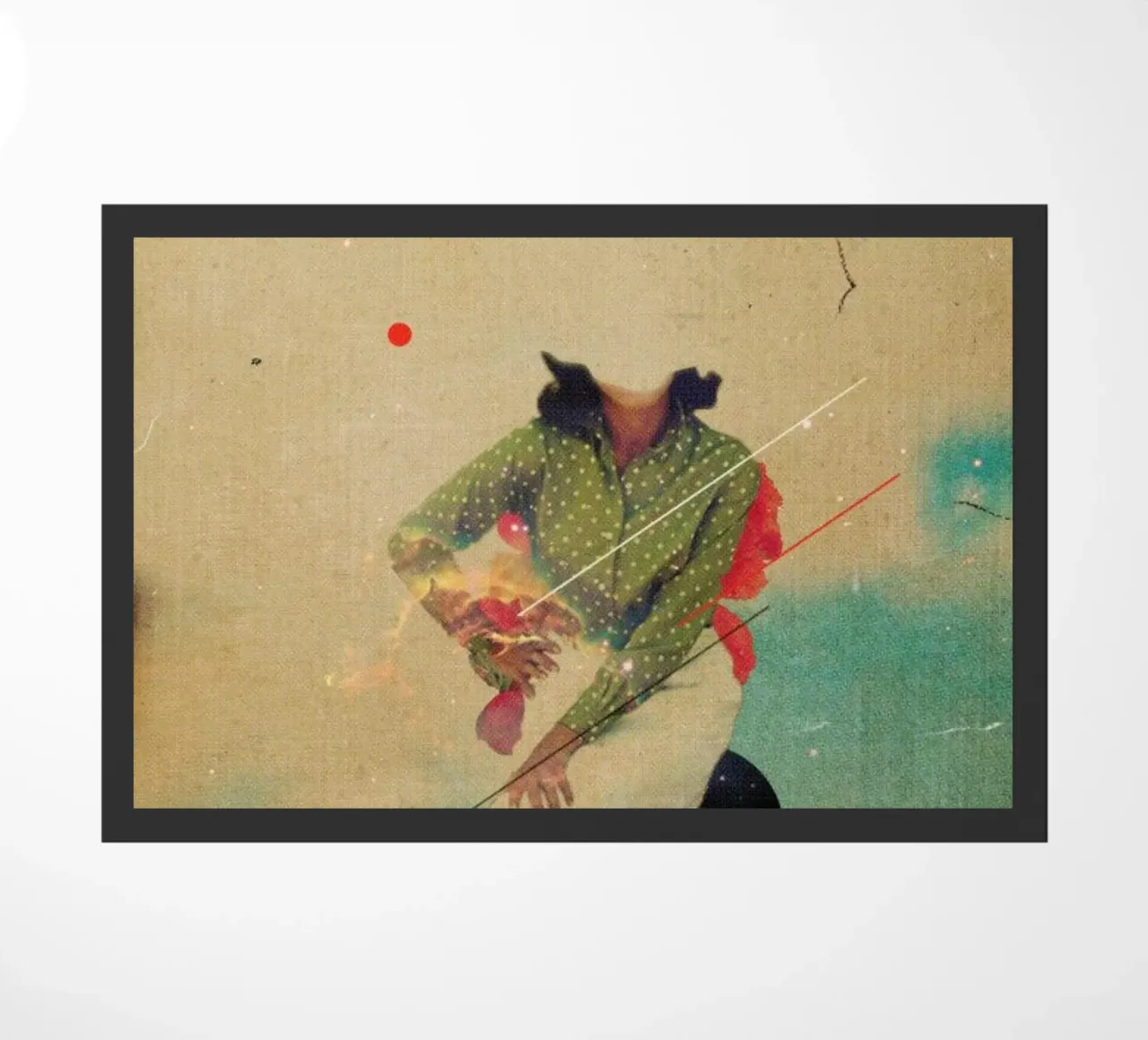 MBI13 zerbino da Frank Moth