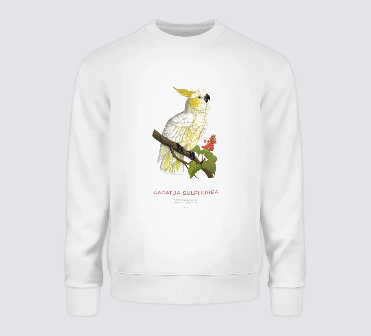 Cacatua dal ciuffo giallo o Cacatua sulphurea felpa da Vintagrafica