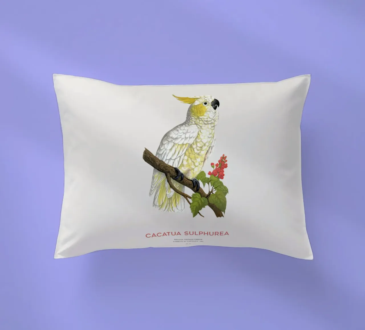 Cacatua dal ciuffo giallo o Cacatua sulphurea cuscino da Vintagrafica