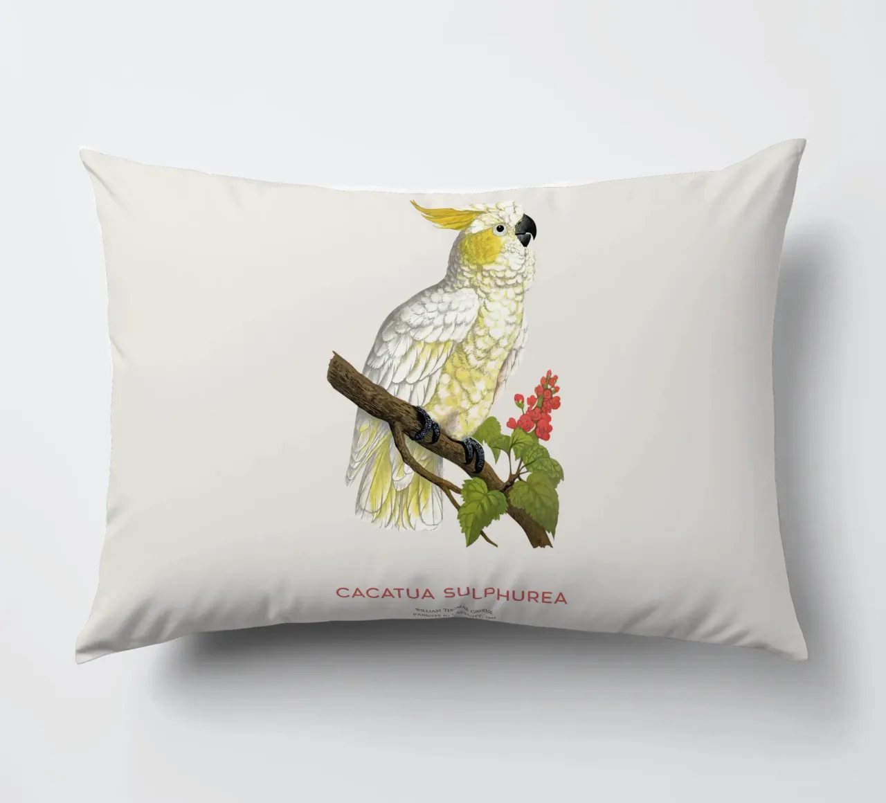 Cacatua dal ciuffo giallo o Cacatua sulphurea cuscino da Vintagrafica