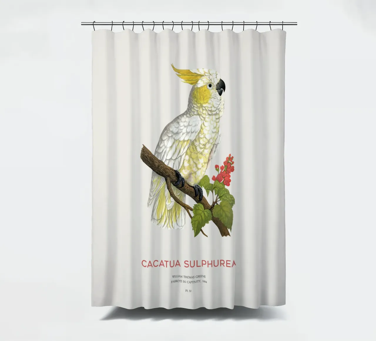 Gelbhaubenkakadu oder Cacatua sulphurea Duschvorhang von Vintagrafica