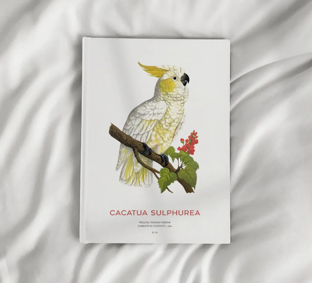 Cacatua dal ciuffo giallo o Cacatua sulphurea diario da Vintagrafica