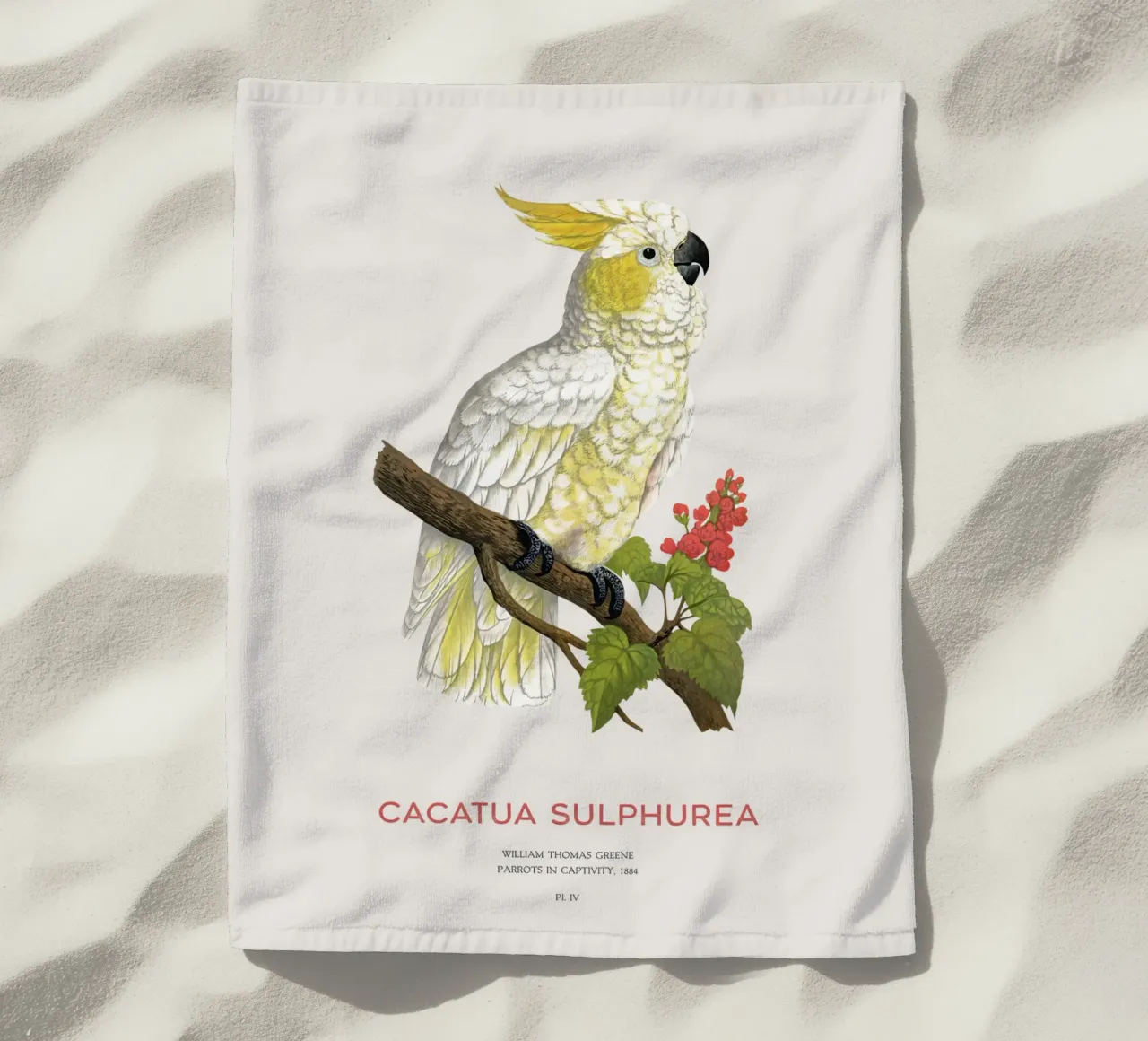 Cacatua dal ciuffo giallo o Cacatua sulphurea telo mare da Vintagrafica