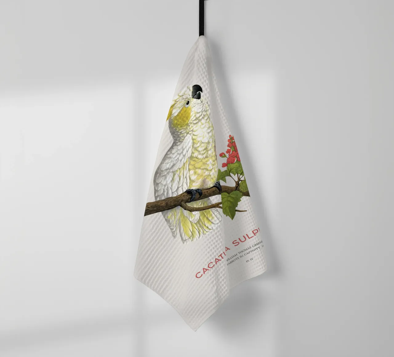 Cacatoès à crête jaune ou Cacatua sulphurea torchon de Vintagrafica