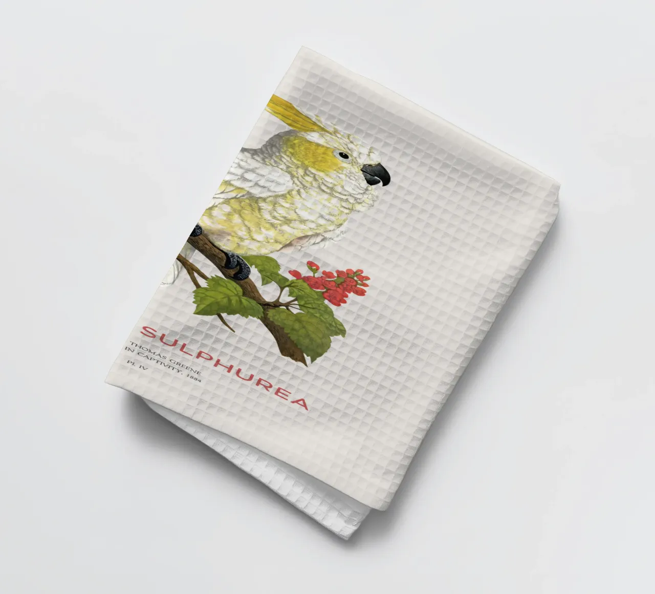 Cacatoès à crête jaune ou Cacatua sulphurea torchon de Vintagrafica