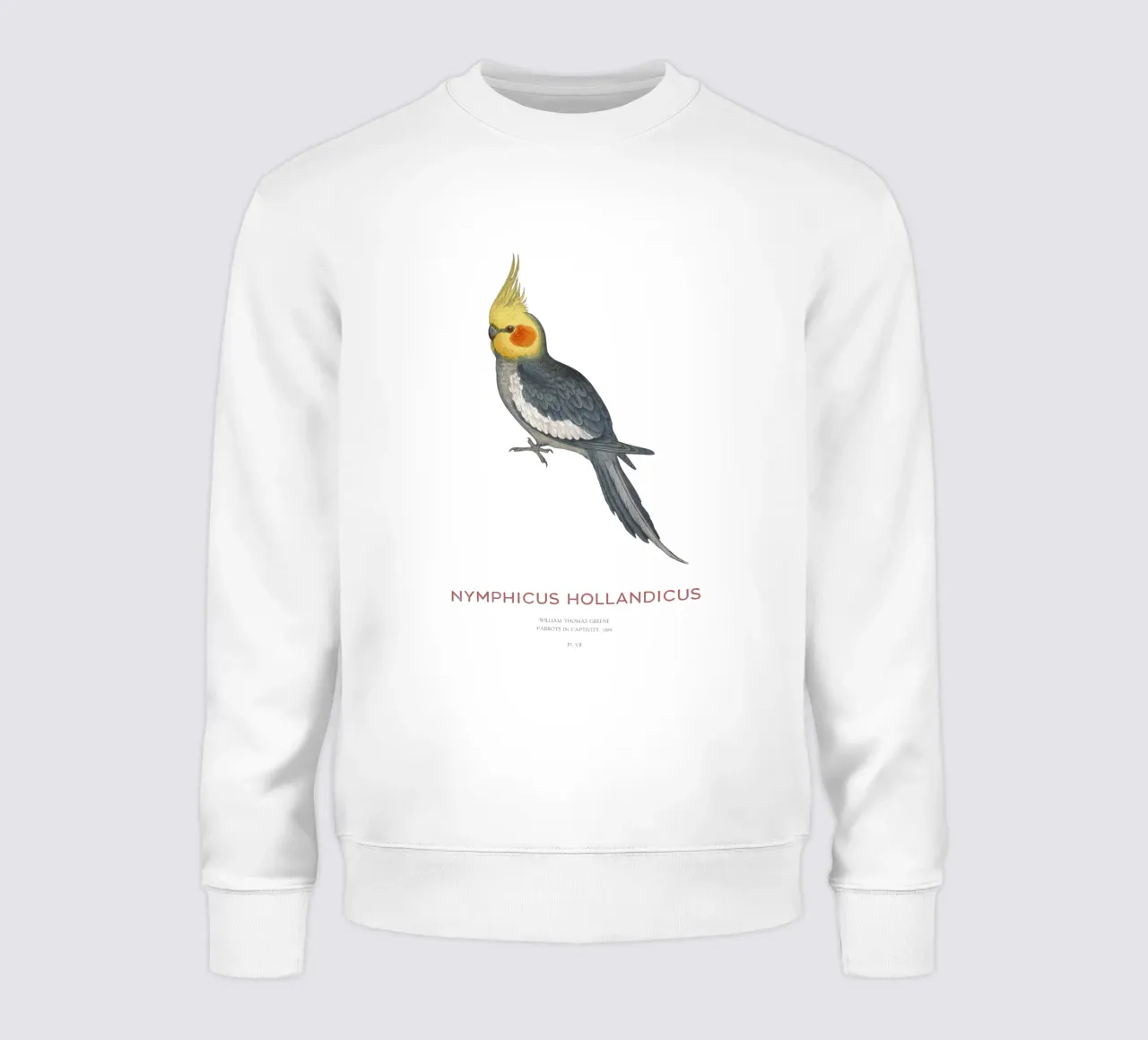 Cacatua o Nymphicus hollandicus felpa da Vintagrafica