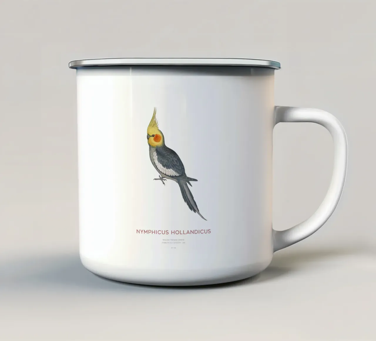 Cacatua o Nymphicus hollandicus tazza in smalto da Vintagrafica