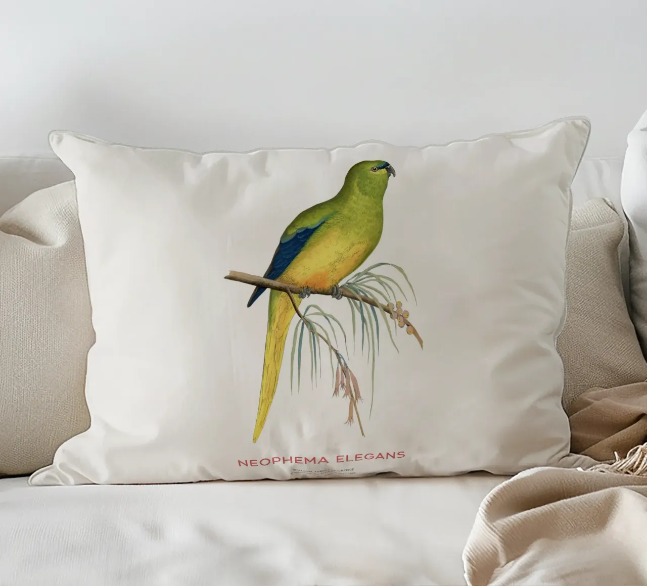 Pappagallo elegante o Neophema elegans cuscino da Vintagrafica