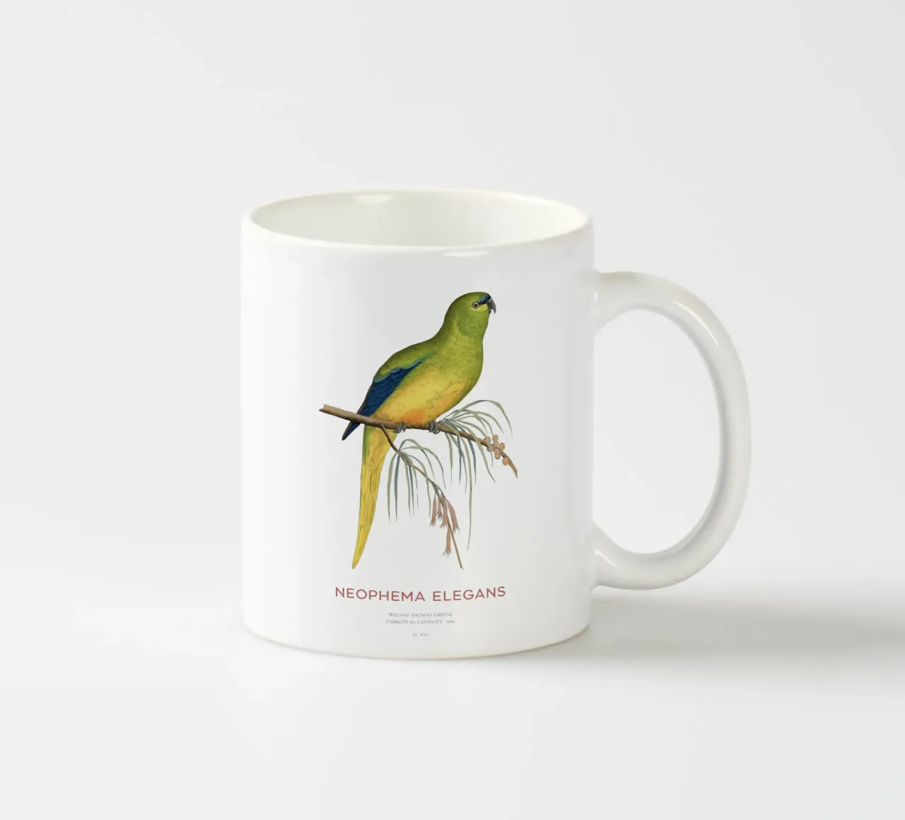 Pappagallo elegante o Neophema elegans tazza in ceramica da Vintagrafica
