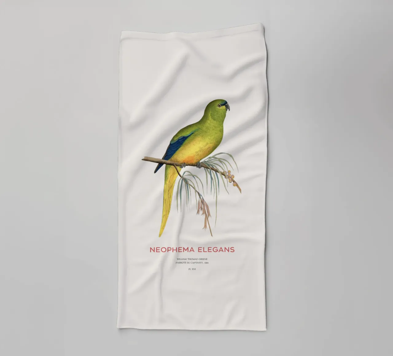 Sierpapegaai of Neophema elegans badhanddoek van Vintagrafica