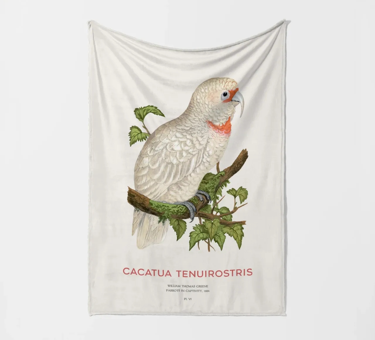 Langschnabelkakadu oder Cacatua tenuirostris Fleecedecke von Vintagrafica