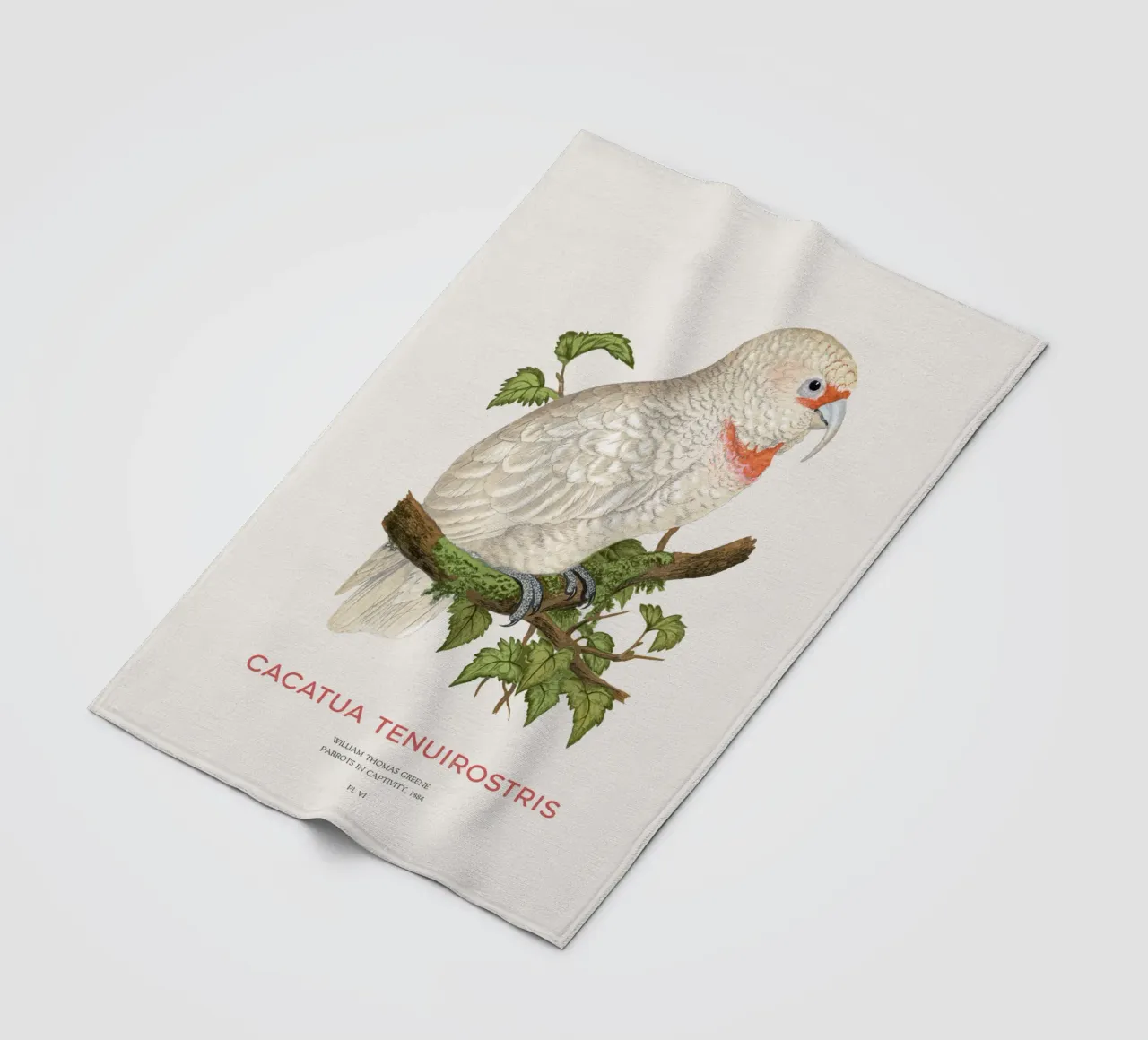 Langschnabelkakadu oder Cacatua tenuirostris Fleecedecke von Vintagrafica