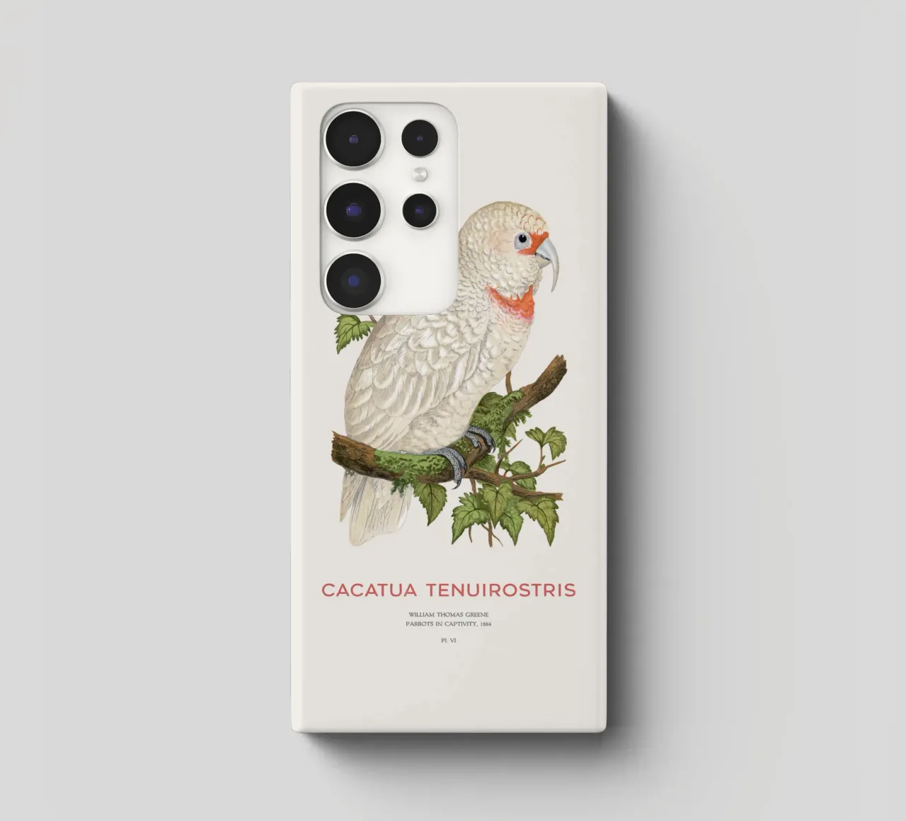 Langschnabelkakadu oder Cacatua tenuirostris Samsung Hülle von Vintagrafica