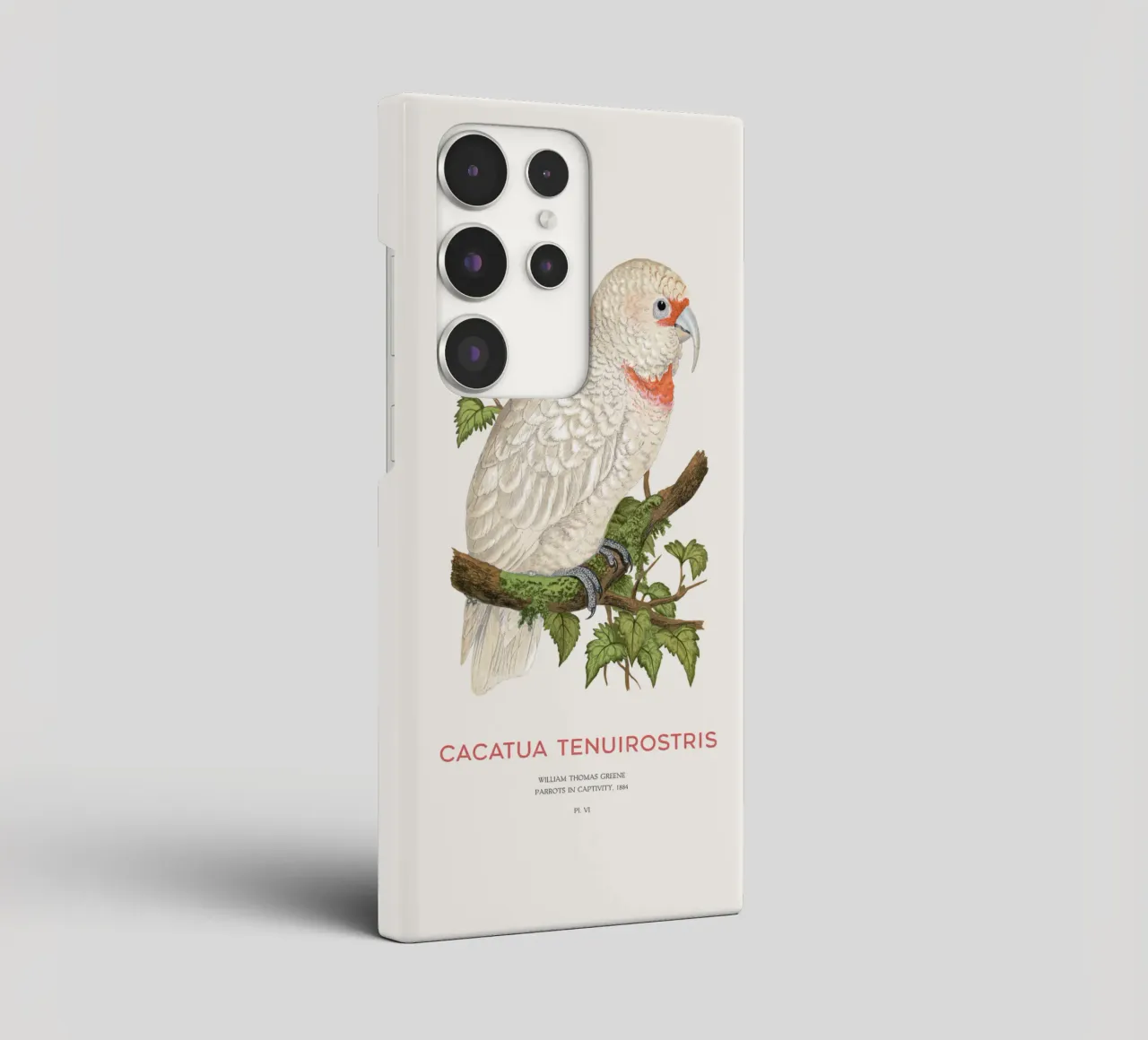 Langschnabelkakadu oder Cacatua tenuirostris Samsung Hülle von Vintagrafica