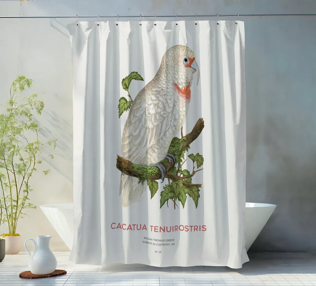 Langschnabelkakadu oder Cacatua tenuirostris Duschvorhang von Vintagrafica