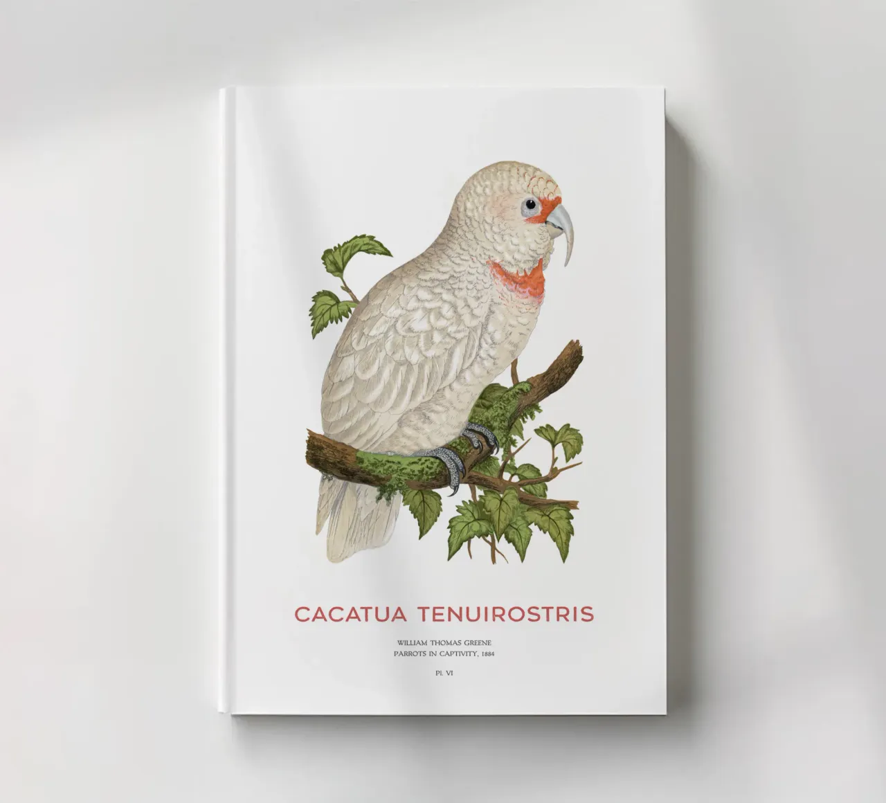 Long-billed corella or Cacatua tenuirostris notebook by Vintagrafica
