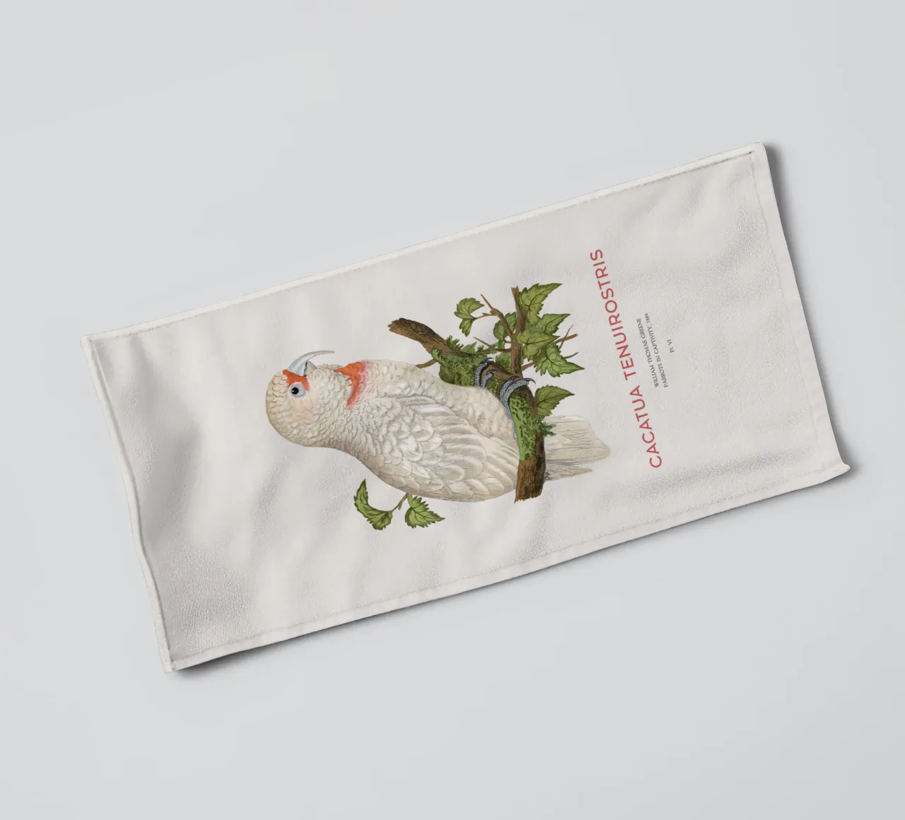 Langschnabelkakadu oder Cacatua tenuirostris Handtuch von Vintagrafica