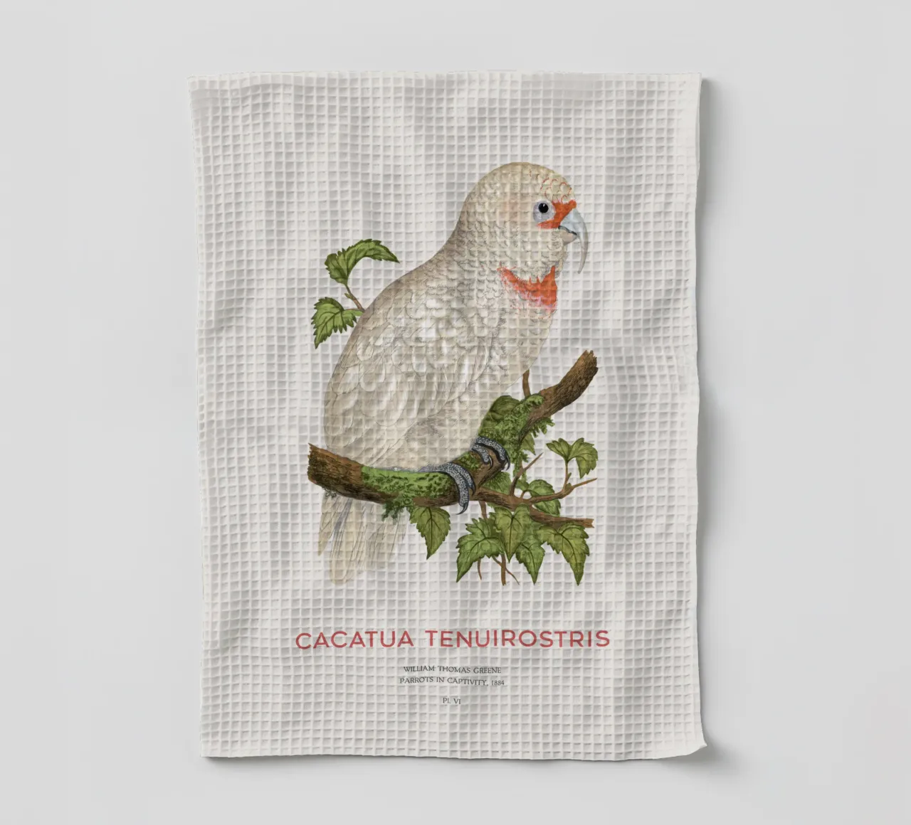 Langschnabelkakadu oder Cacatua tenuirostris Geschirrtuch von Vintagrafica