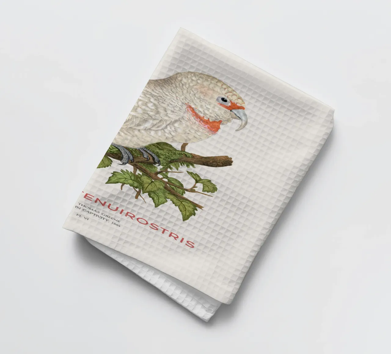 Langschnabelkakadu oder Cacatua tenuirostris Geschirrtuch von Vintagrafica