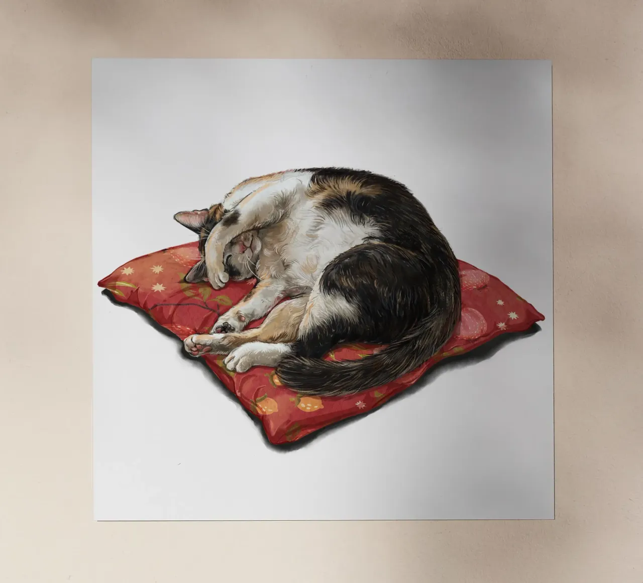 Gatto che sonnecchia pellicola backlit da Laura Graves