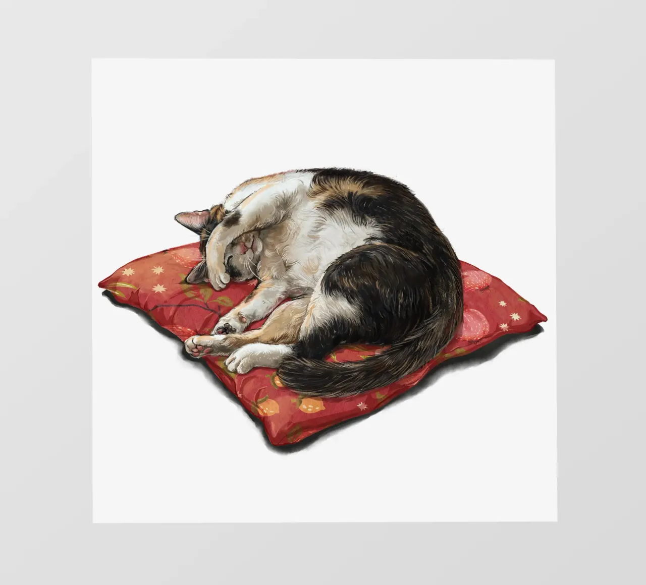 Gatto che sonnecchia pellicola backlit da Laura Graves