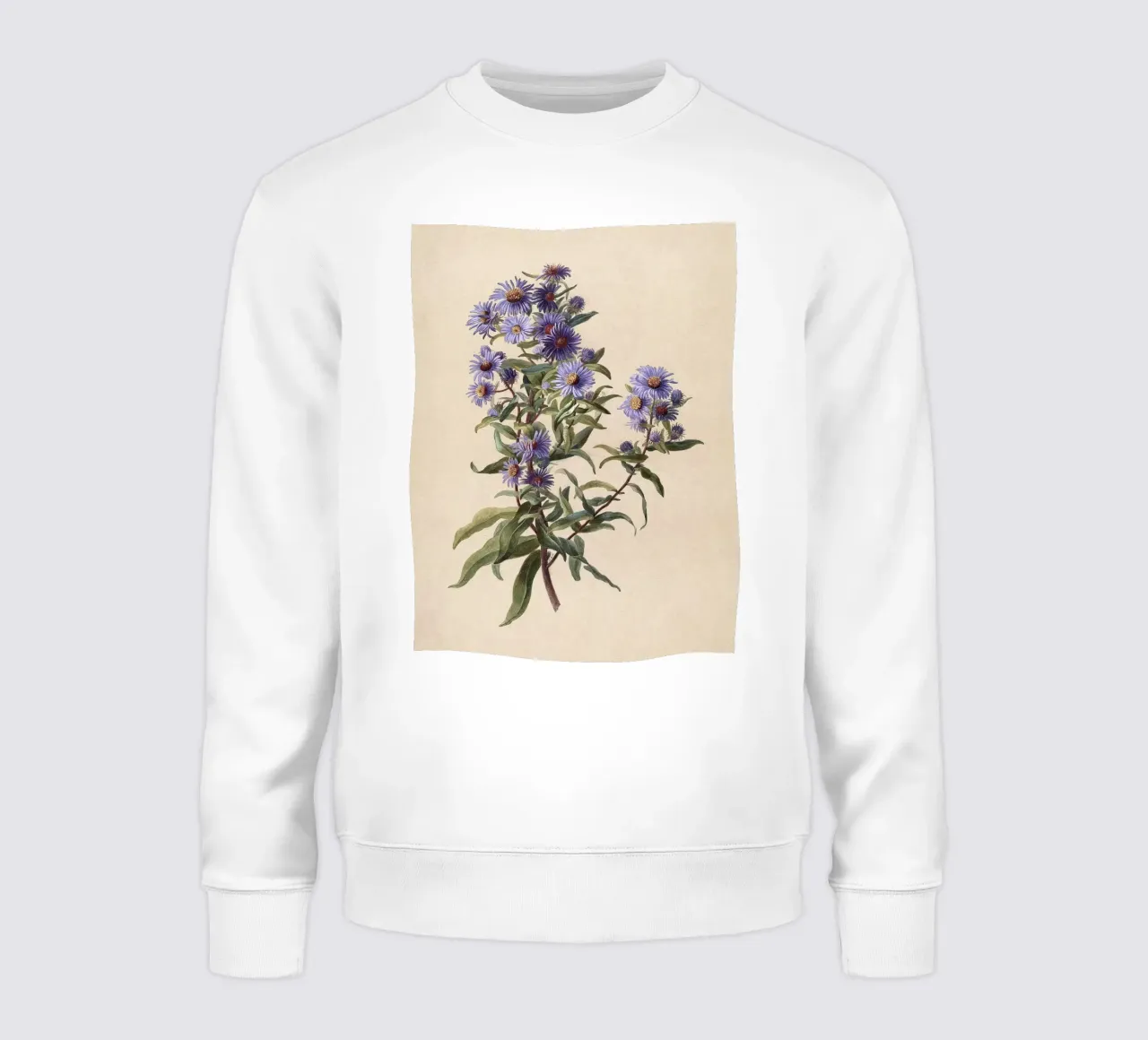 Purple Aster felpa da apoloprints