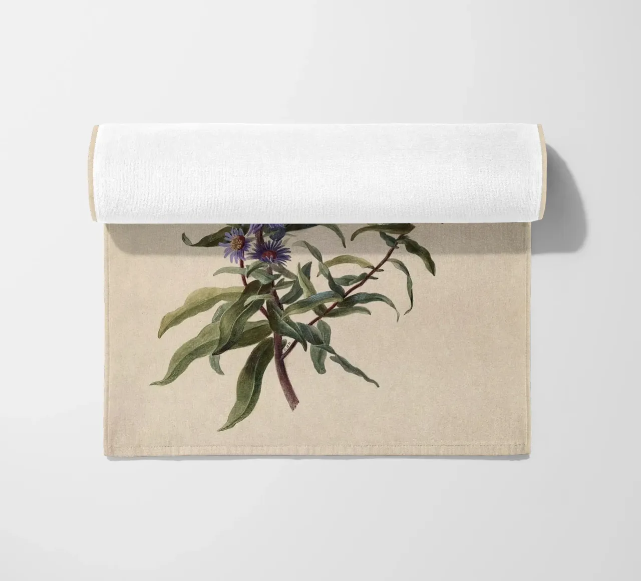 Aster viola telo mare da Botanical