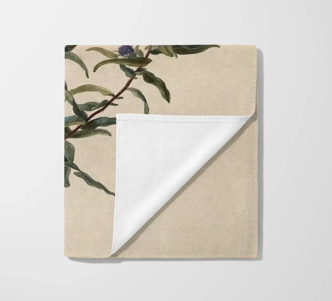 Aster viola telo mare da Botanical