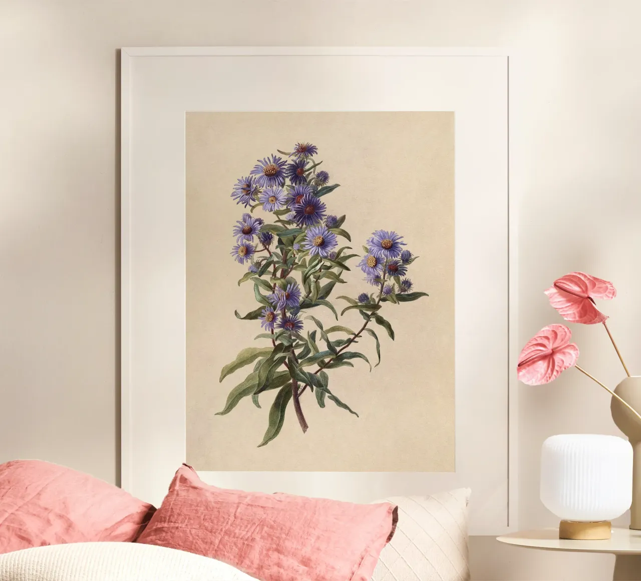 Aster viola poster da Botanical