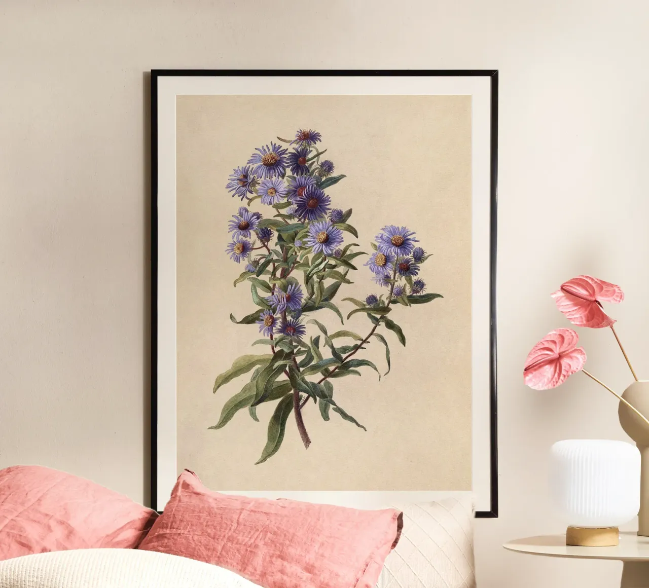 Aster viola poster da Botanical