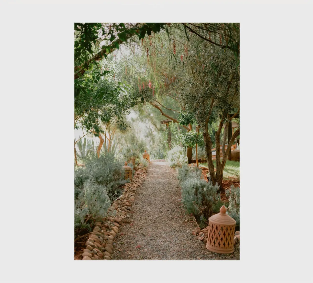 Serene Pathway in Ourika - Travel Photography notebook by Raisa Zwart Photography