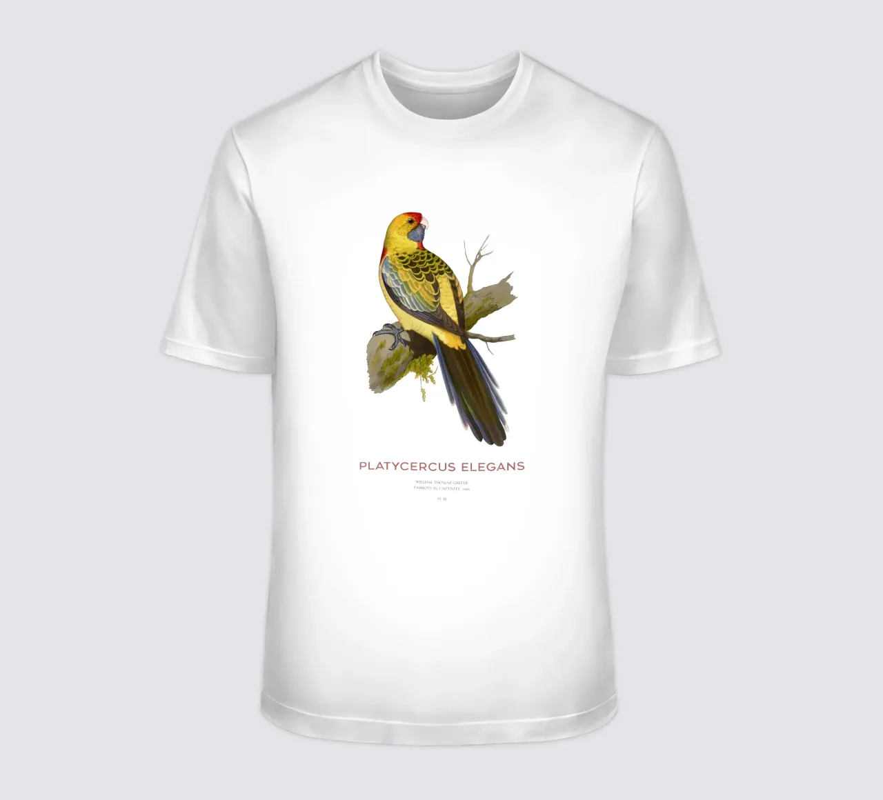 Rosella gialla o Platycercus elegans t-shirt da Vintagrafica