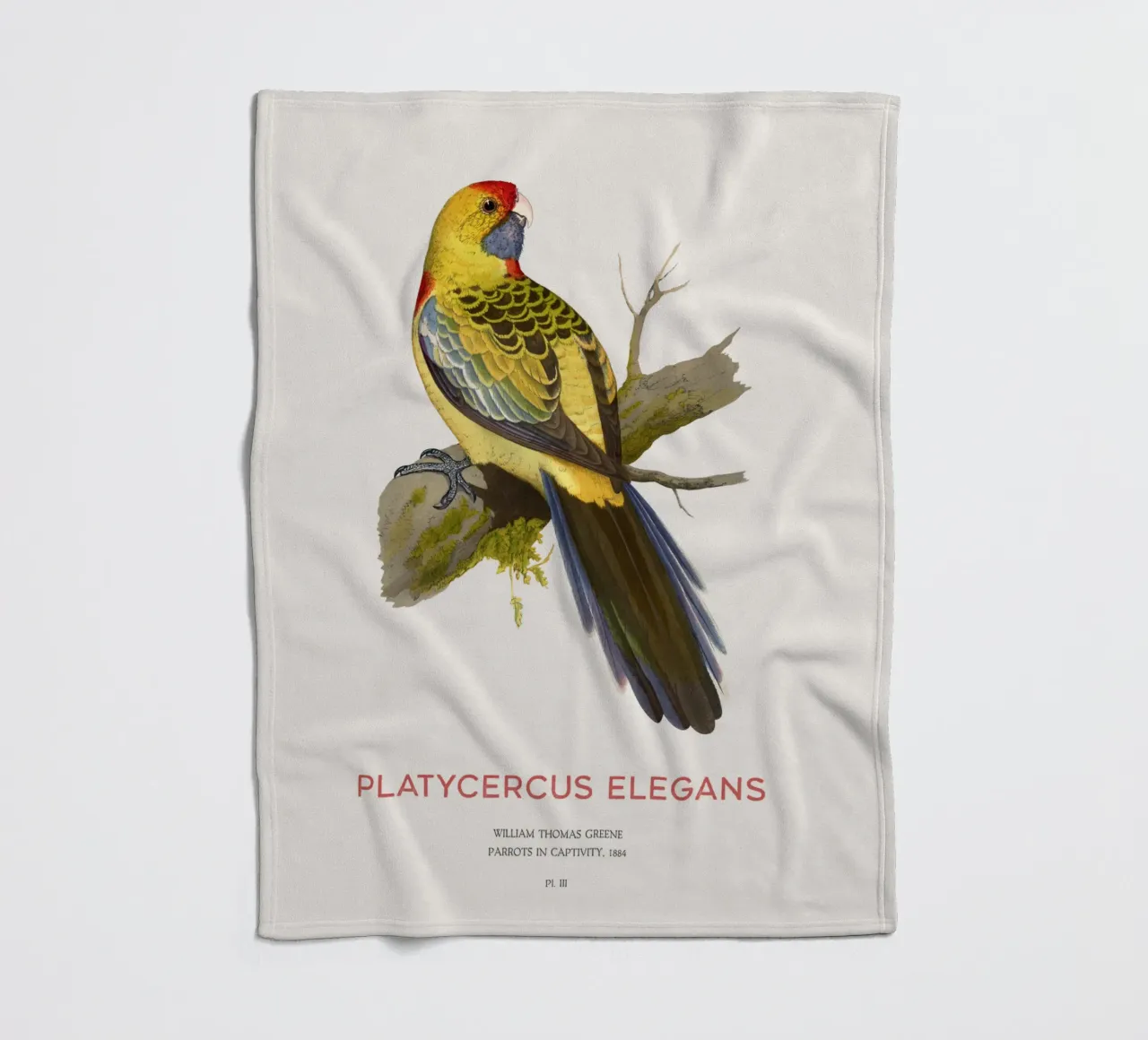 Rosella gialla o Platycercus elegans coperta in pile da Vintagrafica