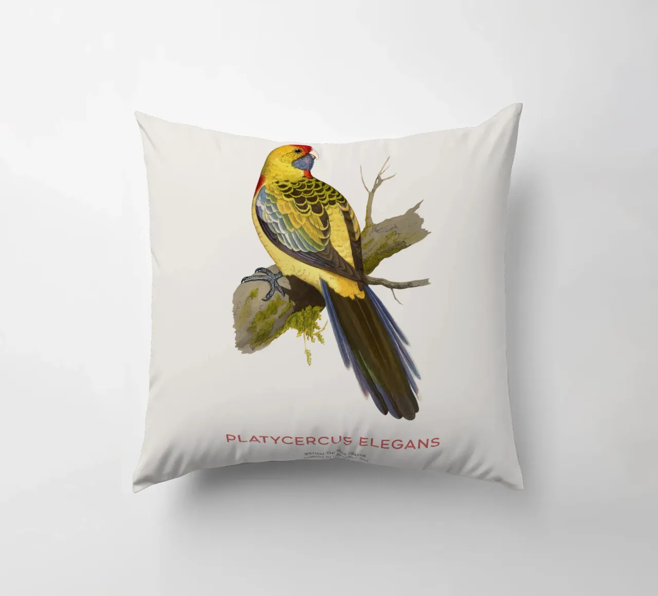 Rosella gialla o Platycercus elegans cuscino da Vintagrafica