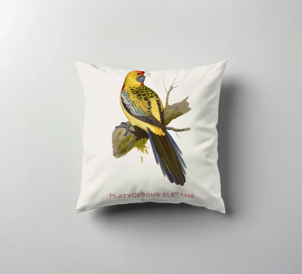 Rosella gialla o Platycercus elegans cuscino da Vintagrafica