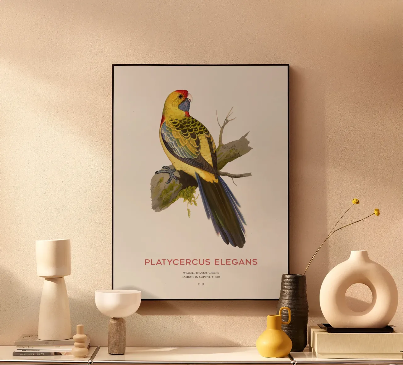Rosella gialla o Platycercus elegans plexiglass da Vintagrafica