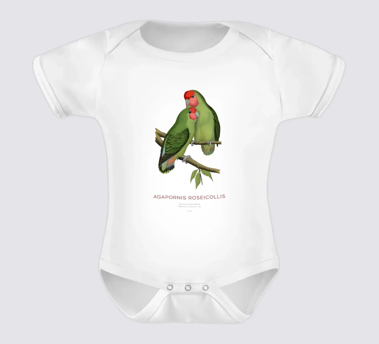 Pfirsichgesichtiger Unzertrennlicher oder Agapornis roseicollis Kurzarm Babybody von Vintagrafica