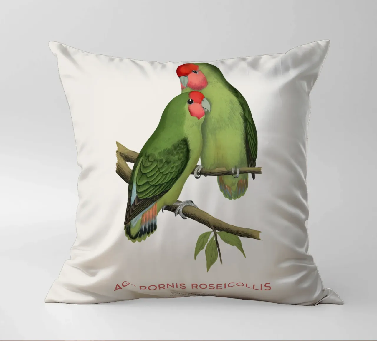 Perzikkleurige agapornis of Agapornis roseicollis kussen van Vintagrafica