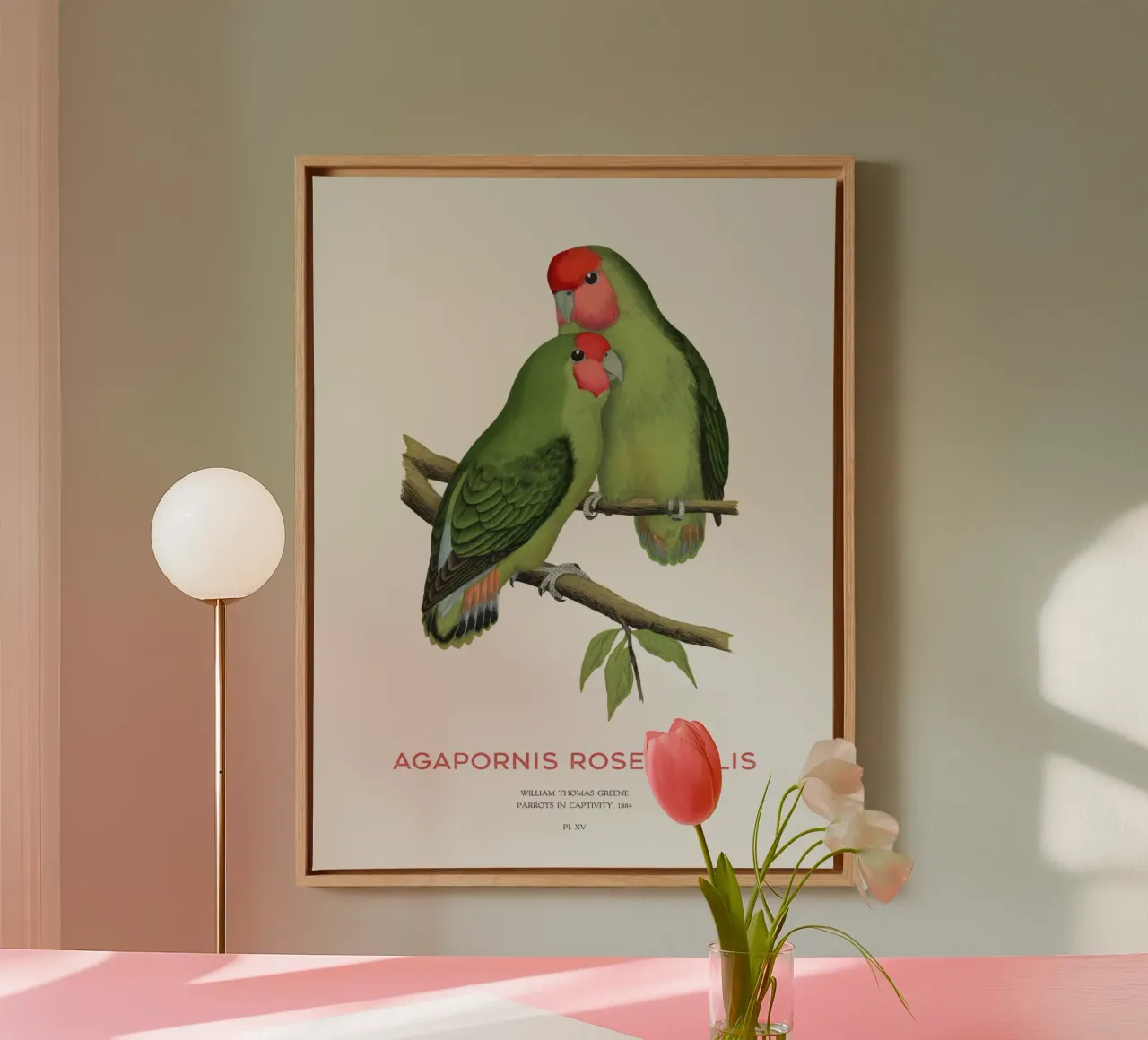 Perzikkleurige agapornis of Agapornis roseicollis canvas met Baklijst van Vintagrafica