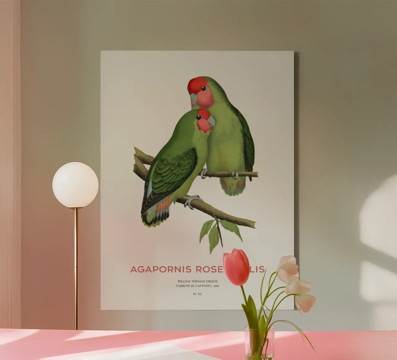 Perzikkleurige agapornis of Agapornis roseicollis canvas met Baklijst van Vintagrafica