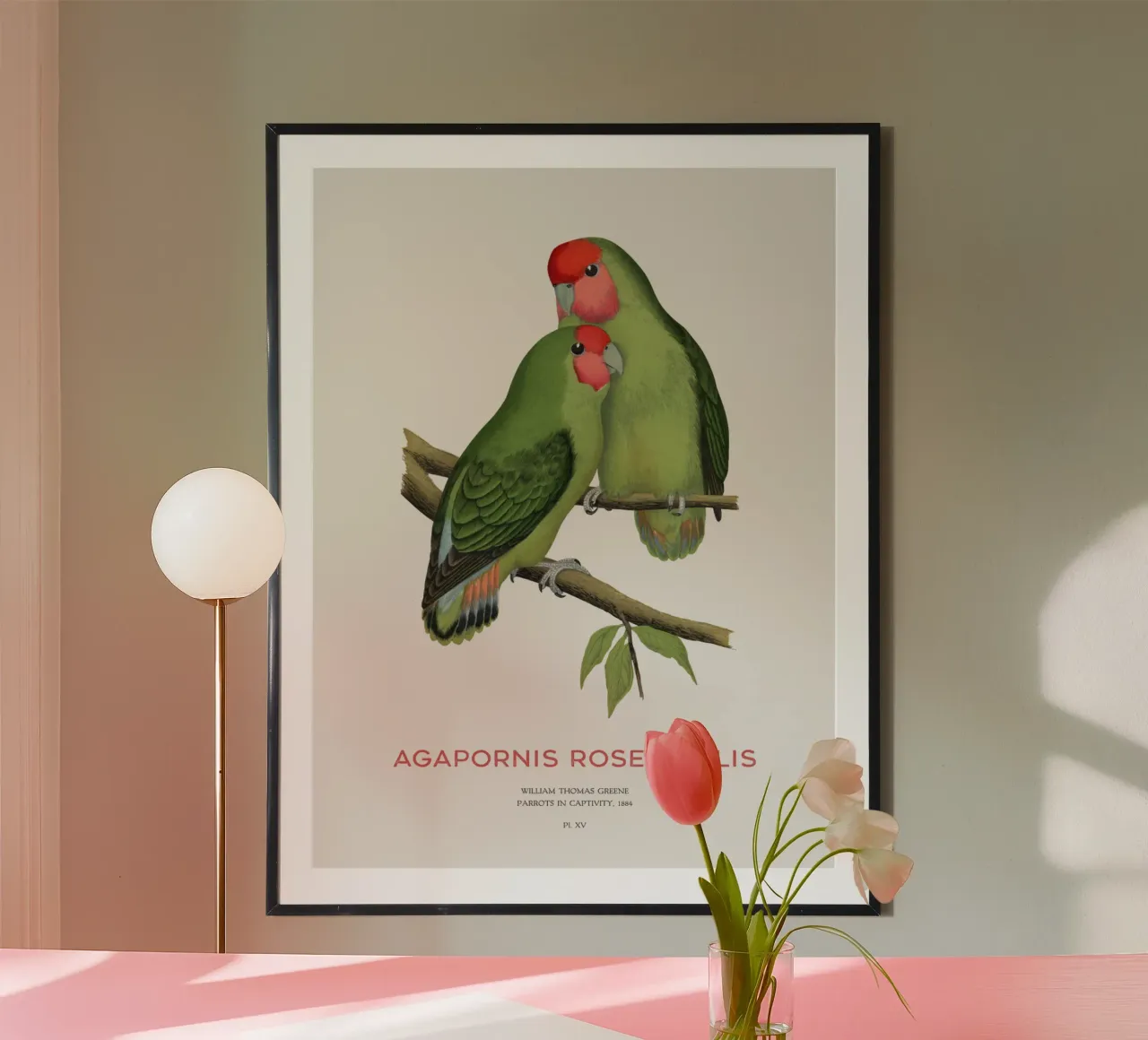 Pfirsichgesichtiger Unzertrennlicher oder Agapornis roseicollis Hahnemühle von Vintagrafica