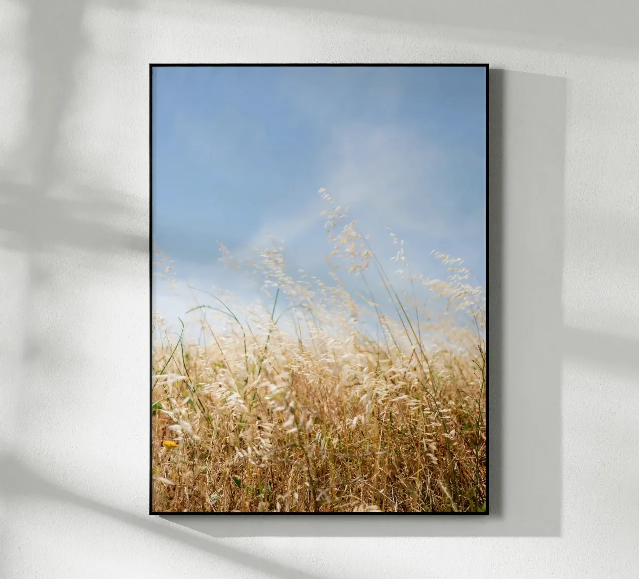 Dancing Grasses of Portugal plexiglass da Raisa Zwart Photography