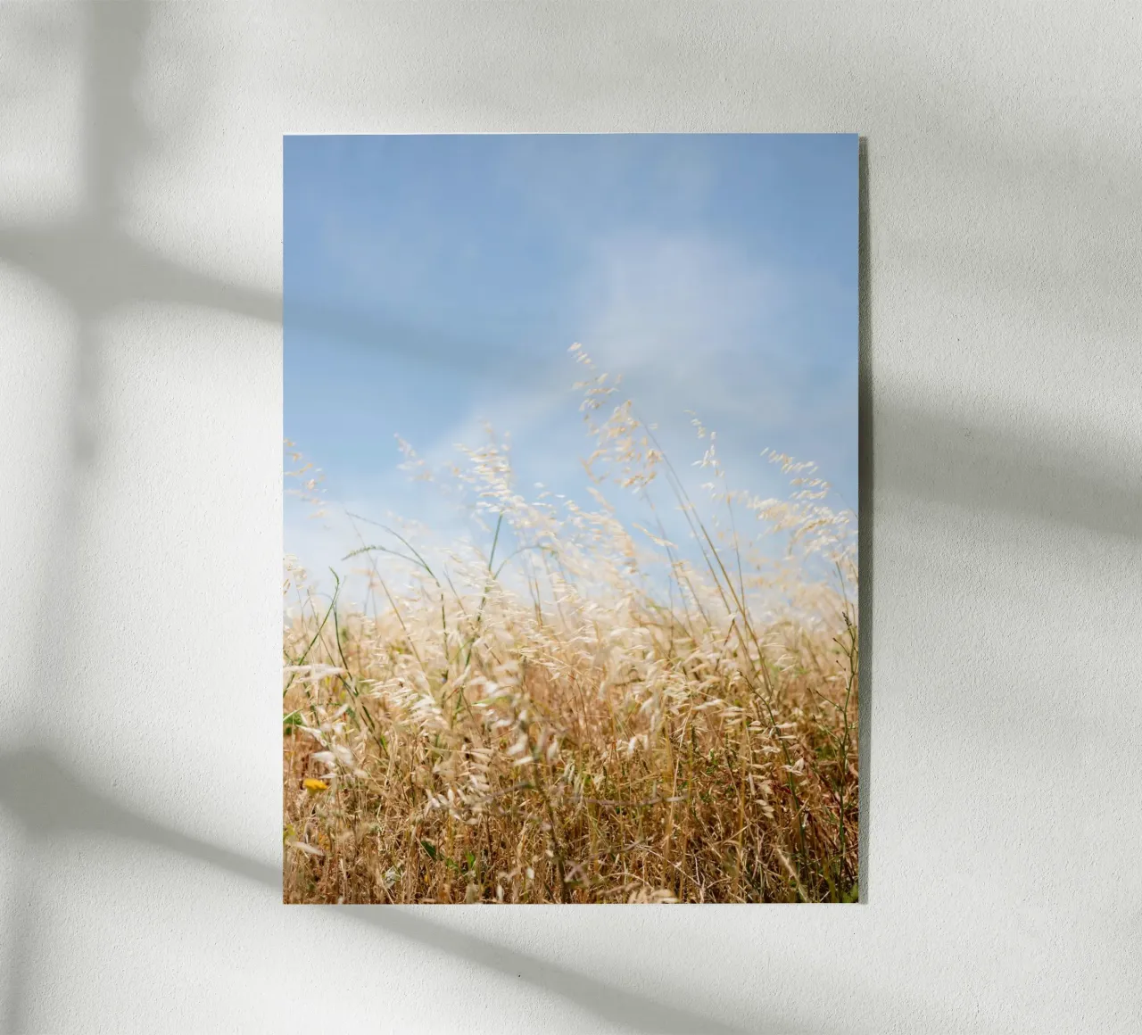 Dancing Grasses of Portugal plexiglass da Raisa Zwart Photography