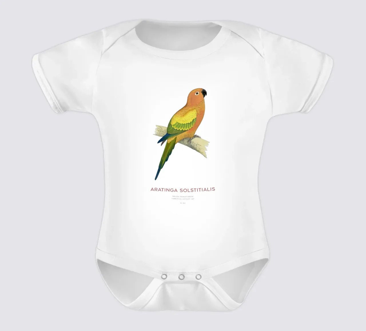 Sonnensittich oder Aratinga solstitialis Kurzarm Babybody von Vintagrafica