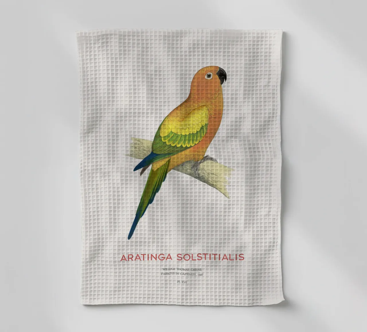 Sonnensittich oder Aratinga solstitialis Geschirrtuch von Vintagrafica