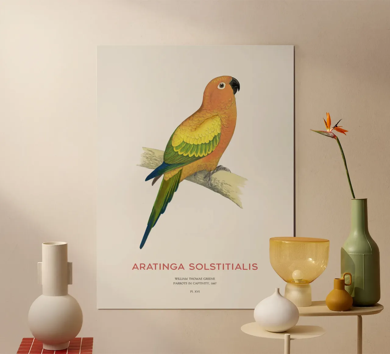 Sonnensittich oder Aratinga solstitialis Hahnemühle von Vintagrafica