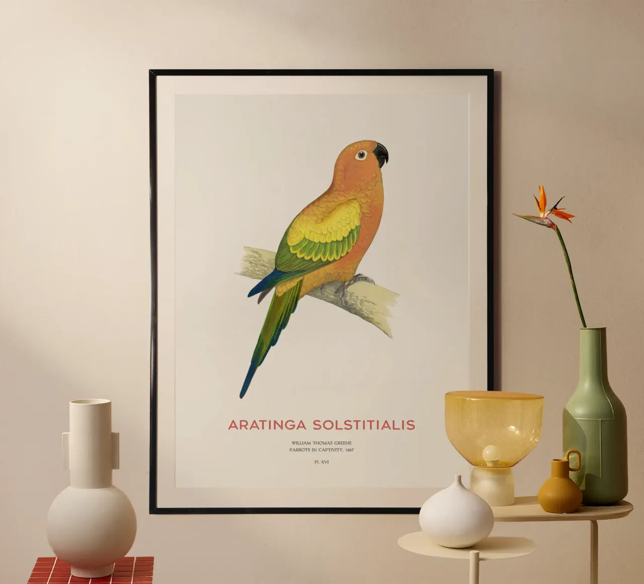 Sonnensittich oder Aratinga solstitialis Hahnemühle von Vintagrafica